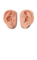 people & Ear free transparent png image.