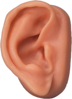 people & ear free transparent png image.