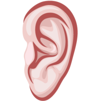 people & Ear free transparent png image.