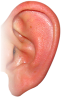 people & Ear free transparent png image.