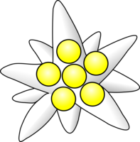 nature & Edelweiss free transparent png image.