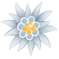 nature & edelweiss free transparent png image.