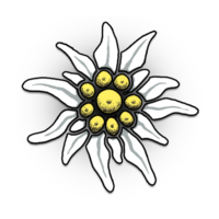 nature & Edelweiss free transparent png image.