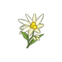 nature & edelweiss free transparent png image.