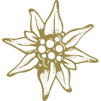 nature & edelweiss free transparent png image.