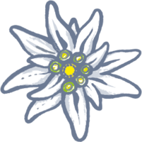 nature & edelweiss free transparent png image.