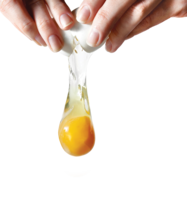 food & Eggs free transparent png image.