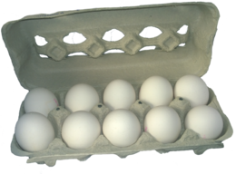 food & eggs free transparent png image.