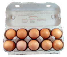 food & Eggs free transparent png image.