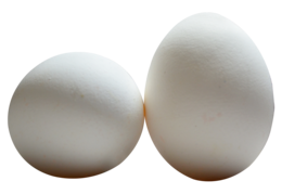 food & eggs free transparent png image.