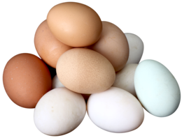 food & Eggs free transparent png image.