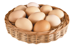 food & Eggs free transparent png image.