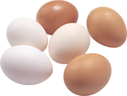 food & eggs free transparent png image.