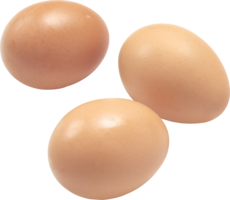 food & Eggs free transparent png image.