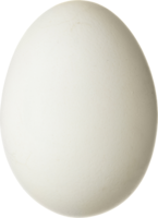 Eggs&food png image