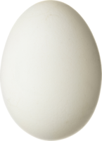 food & Eggs free transparent png image.