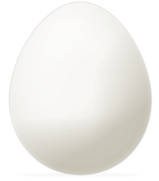 food & Eggs free transparent png image.