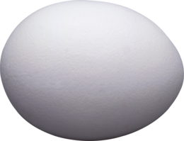 food & Eggs free transparent png image.