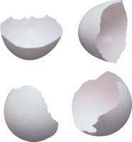 food & Eggs free transparent png image.