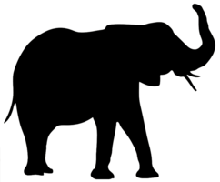 animals & elephants free transparent png image.