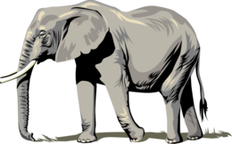 animals & Elephants free transparent png image.