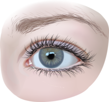 people & eyes free transparent png image.