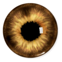 people & Eyes free transparent png image.