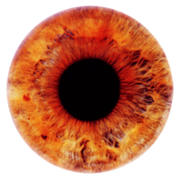 people & Eyes free transparent png image.