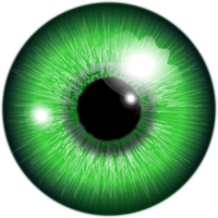 people & eyes free transparent png image.