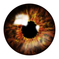 people & Eyes free transparent png image.