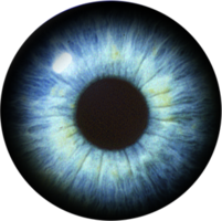 people & Eyes free transparent png image.