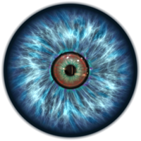 people & Eyes free transparent png image.