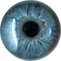 people & eyes free transparent png image.