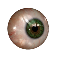 people & eyes free transparent png image.