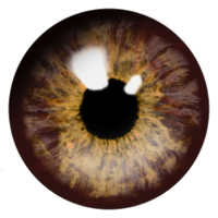 people & eyes free transparent png image.