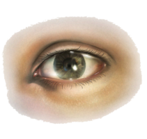 people & eyes free transparent png image.