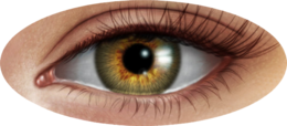 people & eyes free transparent png image.