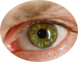 people & eyes free transparent png image.