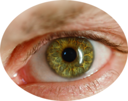 people & eyes free transparent png image.