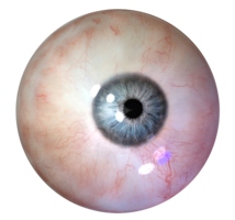 people & eyes free transparent png image.