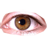 people & eyes free transparent png image.