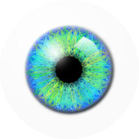 people & eyes free transparent png image.