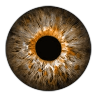 people & eyes free transparent png image.