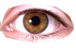 people & Eyes free transparent png image.