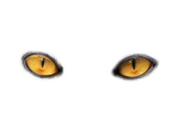 people & eyes free transparent png image.