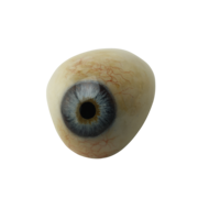 people & eyes free transparent png image.