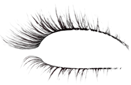 people & Eyelash free transparent png image.