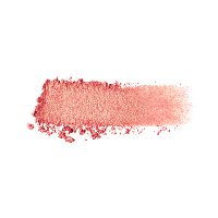 miscellaneous & Eye shadow free transparent png image.