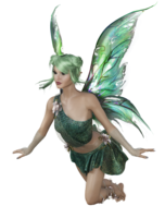 fantasy & fairy free transparent png image.