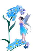 fantasy & fairy free transparent png image.